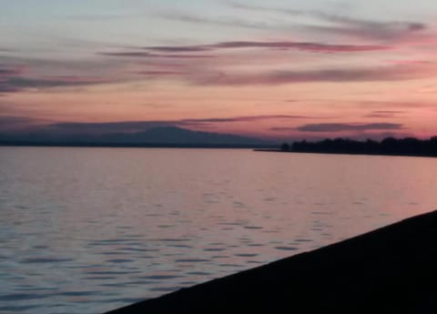 House | View from property