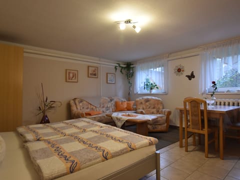 Apartment | 1 bedroom, individually furnished, bed sheets