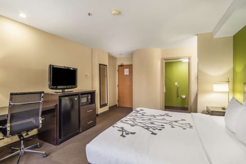 Standard Room, 1 King Bed, Non Smoking | In-room safe, individually decorated, individually furnished, desk