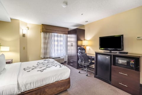 Room, 1 Queen Bed, Non Smoking | In-room safe, individually decorated, individually furnished, desk