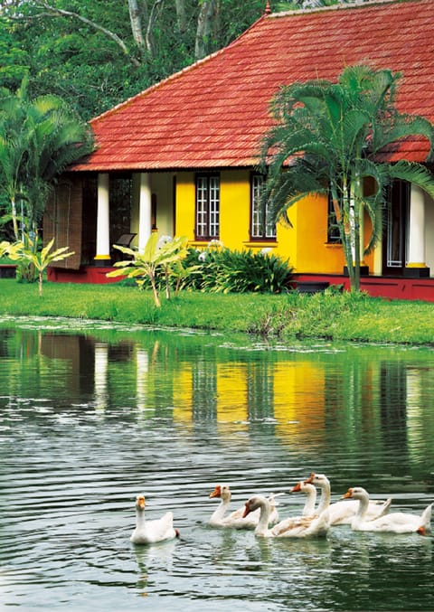 Luxury Villa, 1 King Bed, Garden View (Lotus Garden) | Premium bedding, minibar, in-room safe, individually decorated