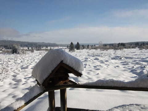 Chalet | View from property