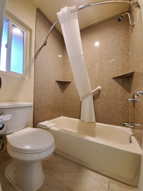 Combined shower/tub, free toiletries, hair dryer, towels