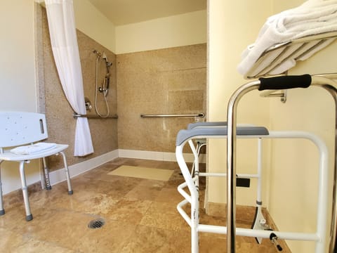 Standard Room, 1 King Bed, Accessible Roll-In Shower, Non Smoking | Bathroom | Combined shower/tub, free toiletries, hair dryer, towels