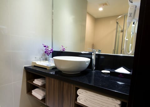 Valentine’s Room Package | Bathroom | Shower, free toiletries, hair dryer, slippers