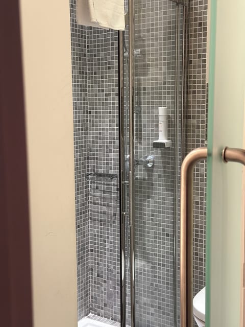 Rainfall showerhead, free toiletries, hair dryer, towels