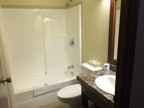 Standard Room, 1 Queen Bed | Bathroom | Combined shower/tub, eco-friendly toiletries, hair dryer, towels
