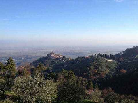 House | View from property