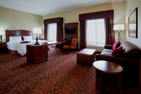 King Studio Suite | In-room safe, desk, iron/ironing board, free rollaway beds