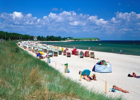 Apartment | View from property