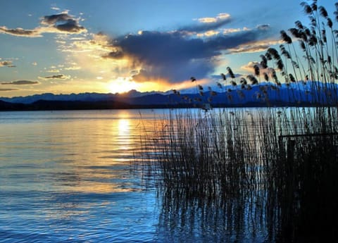 Apartment | View from property