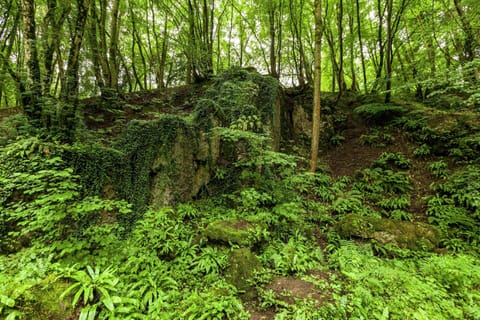 Apartment | View from property