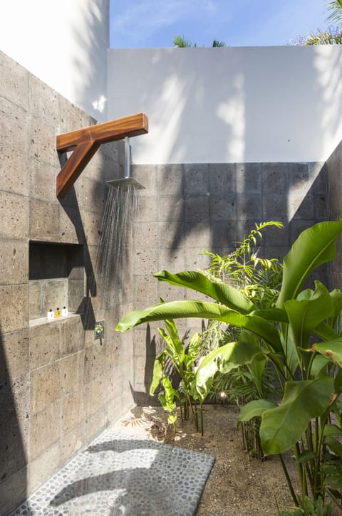 Suite (Swim-Up) | Bathroom shower