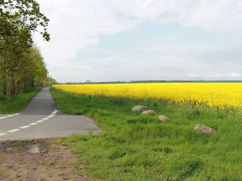 Apartment | View from property