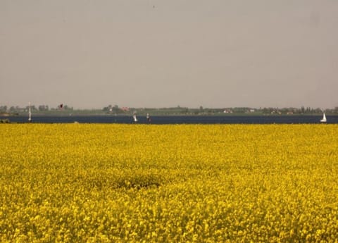 House | View from property