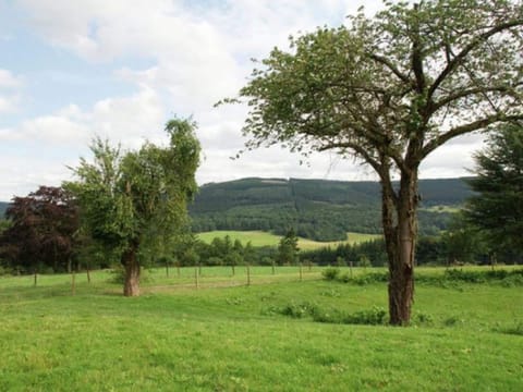 House | View from property