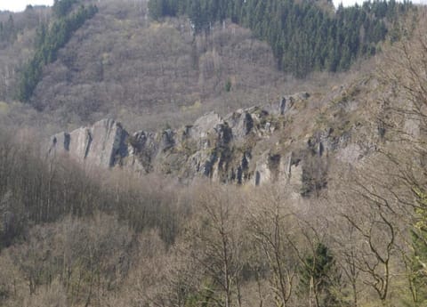 House | View from property