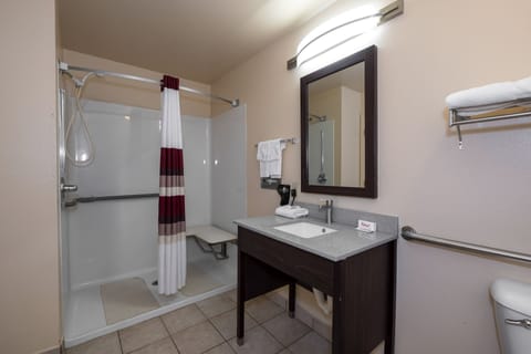 Deluxe Room, 1 King Bed, Accessible, Non Smoking (Roll-In Shower) | Accessible bathroom