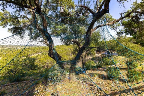 The attached tree net invites you even further towards the valley view. Clamber up to the crows nest for an incredible view. Read a book or take a nap right in the canopy!