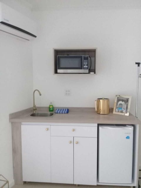 Apartment, 1 Bedroom | Private kitchenette | Microwave, coffee/tea maker, cookware/dishes/utensils