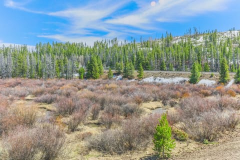View from the back patio with lots of open space and beautiful views year round.