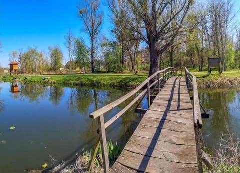 House | View from property