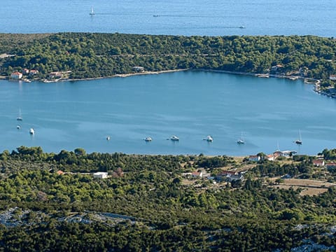 House | View from property