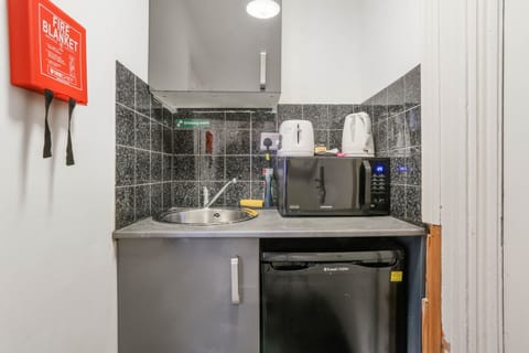 Executive Studio | Private kitchen | Fridge, microwave, electric kettle, cookware/dishes/utensils