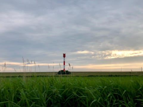 Area that directly surrounds the property