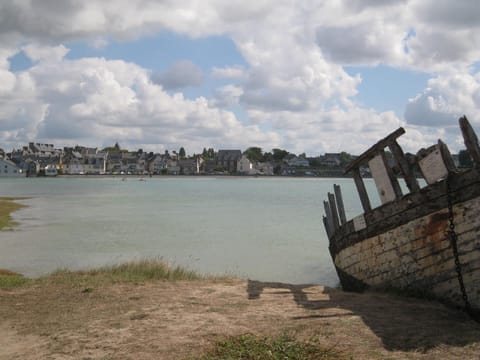 Town/city in general