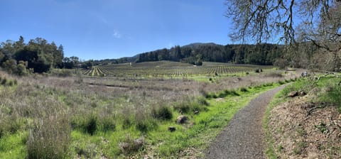 Hiking at nearby Jack London State Park