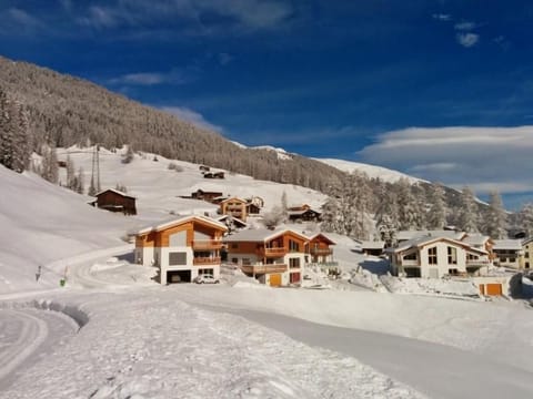 The Chalet-Davos is located in a small group of chalets on the outskirts of Davos-Glaris.