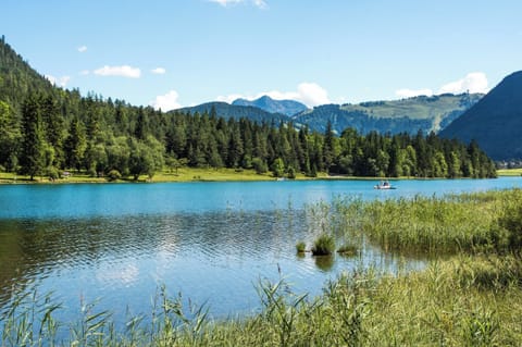 Lake