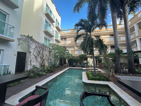 Outdoor pool, sun loungers