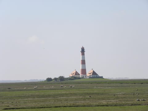 Town/city in general