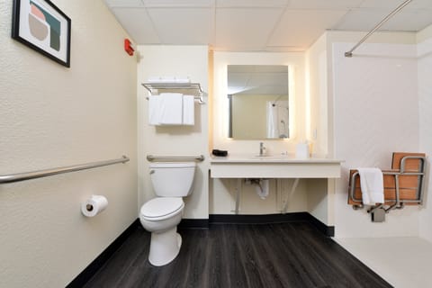 Room, 1 King Bed, Accessible (Roll-In Shower) | Bathroom | Free toiletries, hair dryer, towels