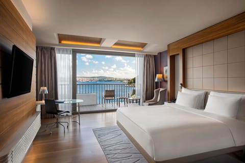 Deluxe Room, 1 King Bed, View (Bosphorus View) | Premium bedding, minibar, in-room safe, individually furnished