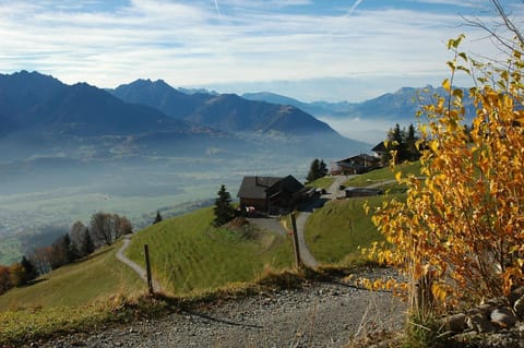 Town/city in general