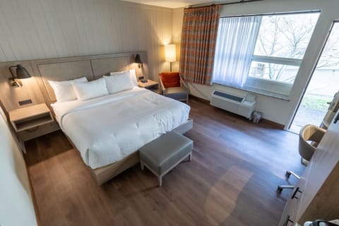 Premier Room, 1 King Bed | Desk, free WiFi, bed sheets, wheelchair access