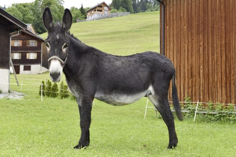 Children's activities