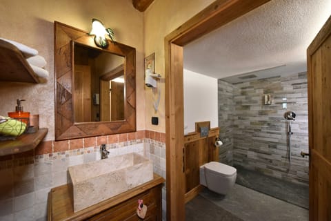 Family Suite | Bathroom | Shower, free toiletries, hair dryer, slippers