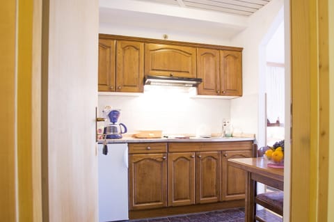 Studio, Terrace | Private kitchen | Fridge, microwave, stovetop, coffee/tea maker