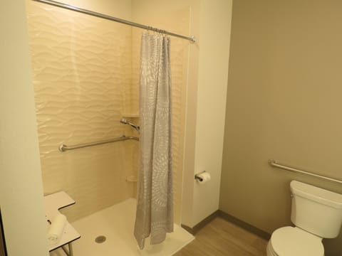 Room, 1 King Bed, Accessible, Non Smoking (Mobility) | Bathroom | Shower, hydromassage showerhead, designer toiletries, hair dryer