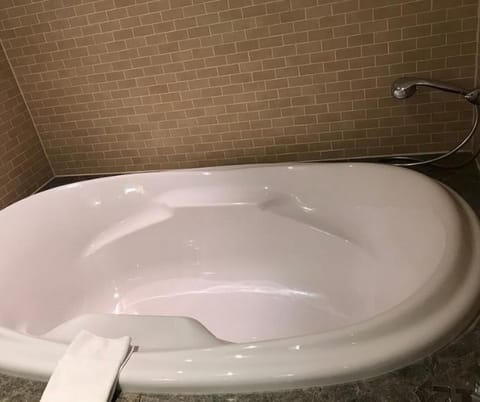 Suite | Bathroom | Free toiletries, hair dryer, towels, soap