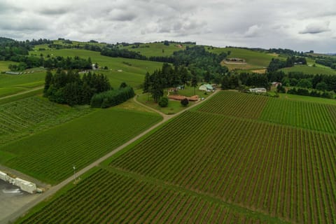 "Beautiful location amongst the vineyards. Check in and check out were easy. I would highly recommend this house for a large party" - J Geoff