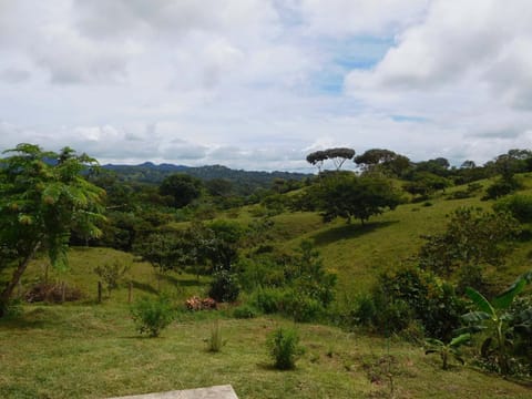 Land view from property