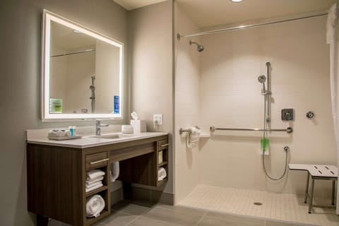 Studio, 1 Queen Bed, Accessible (Mobility & Hearing, Roll-in Shower) | Bathroom shower