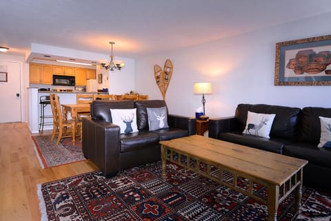 Living room w/full pullout couch