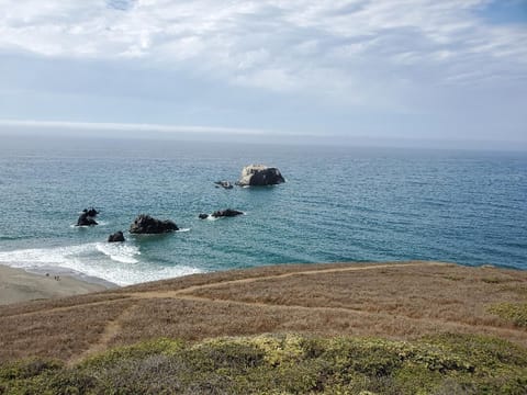 Goat Rock Beach Sonoma Coast State Park, 20 minute drive from the house
