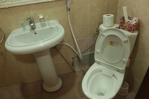 Room (Annex) | Bathroom | Combined shower/tub, free toiletries, hair dryer, towels